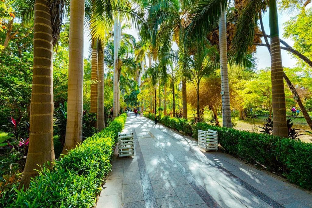 Aswan Botanical Gardens & Museum Private Tour