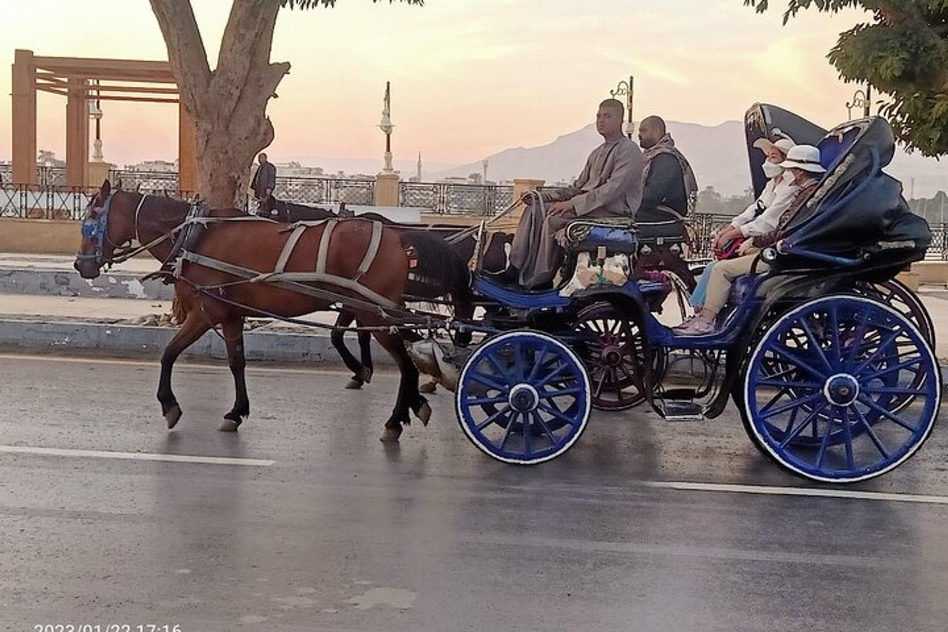 Horse & Carriage in Luxor related tour image