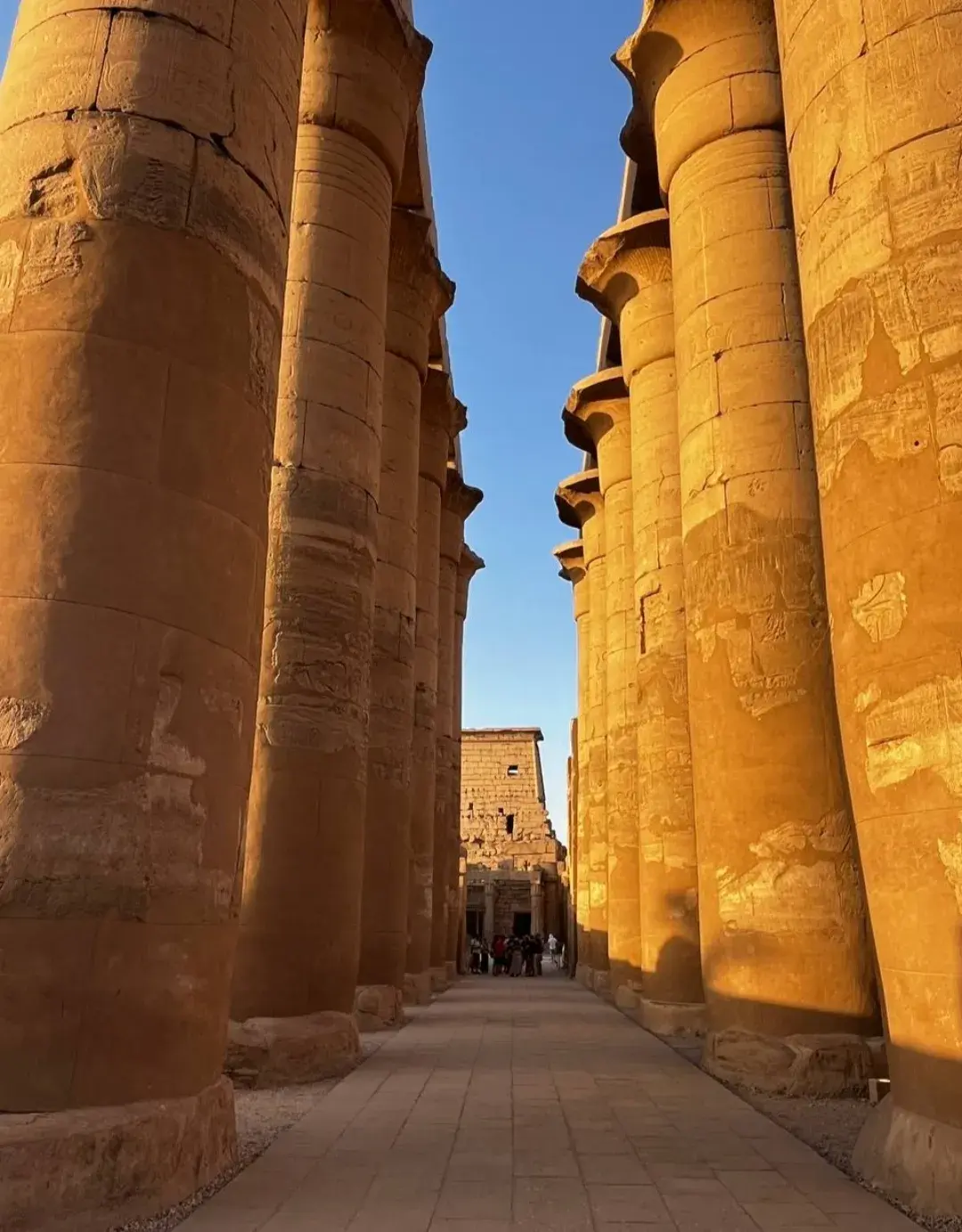 Private Day Tour to Luxor's East & West Banks