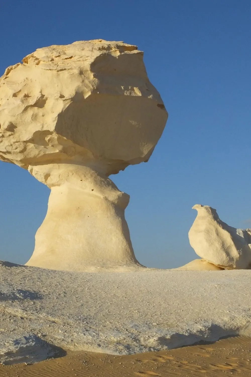 White Desert Adventure (Bahariya Highlights)